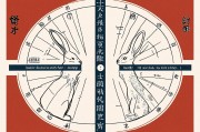 兔子的五行属什么，传统文化中的生肖与五行解析