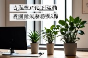 属龙的办公室放什么植物好，打造旺运办公环境的植物选择指南