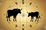 1985年属牛的人五行究竟属木还是金？深入解析生辰八字的奥秘