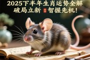 2025下半年生肖鼠运势全解，破局立新，智握先机