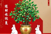兔的招财植物第一名，金钱树，为属兔者开启财富与吉祥之门