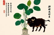 1985属牛者的风水植物，助运旺财，安宅兴业
