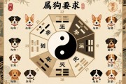 属狗的五行对照表，揭秘不同年份狗狗的性格命运与运势指南