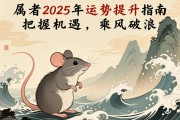 属鼠者2025年运势提升指南，把握机遇，乘风破浪