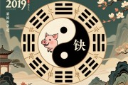 2019年属猪五行缺什么？深入解析生肖命理与五行平衡之道