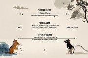 鼠年出生者适合从事的五大生意领域