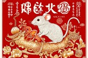 鼠2025财运大爆发的一年，机遇与挑战并存