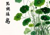 72年属鼠最旺的植物，招财纳福的绿色伙伴