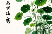 72年属鼠最旺的植物，招财纳福的绿色伙伴