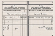 1985在2025，穿越时空的每月运气指南
