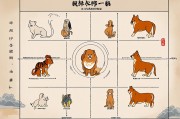 属狗的年龄表，解读生肖狗在不同年龄阶段的运势与性格变化
