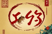 最旺属鼠人的6个数字，助你运势亨通、财源广进