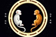 属猴三合六合，解析生肖猴的贵人缘分与人生助力