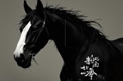 苦命马一般生在几月，命运与月份的隐秘关联