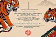 2025年属虎人下半年运势解析，机遇与挑战并存