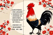 1981年属鸡人二婚的最佳年份，命理分析与人生启示