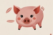 属猪的去哪个方向发展好？深度解析生肖猪的事业发展方向