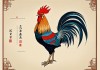 1981年属鸡人最佳发财方向，把握机遇，顺势而为