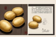 男人梦见土豆是吉兆吗？解梦与文化的双重解读