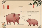 属猪适合去什么方向？探寻生肖与方位的奇妙联系