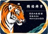 属虎最佳姻缘配对，命中注定的情缘解密