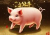 属猪2025年运势及运程，稳中求进，顺势而为