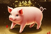 属猪2025年运势及运程，稳中求进，顺势而为