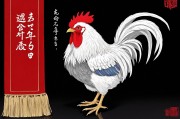81年鸡人45岁遇贵人，中年转折，命运新章