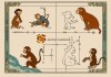 属猴人创业指南，哪些生意最能让你风生水起？