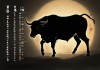 1985年属牛人7月运势解析，稳中求进，把握机遇