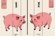 十猪九富与十猪九苦，命运的双面解读与人生启示