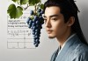 男人梦见葡萄是发财梦吗？解析梦境背后的象征与心理