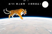 1986年属虎人2025年运势详解，机遇与挑战并存，破局之道在于稳中求进