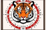 属虎的年份表，探寻生肖轮回中的虎年密码