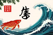 8月生肖运势，把握时机，乘风破浪的盛夏之机