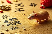 属鼠人最忌讳家里放什么？这些风水禁忌不可不知！