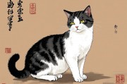 一猫穷二猫富三猫四猫五猫，论猫咪数量与生活哲学的奇妙关联