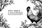 93年属鸡人的第二次婚姻，最佳年龄与人生启示