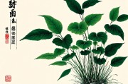 属鼠人最旺的6种植物，招财又旺运！